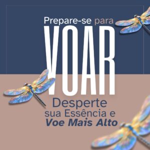 Ebook Prepare-se para Voar!